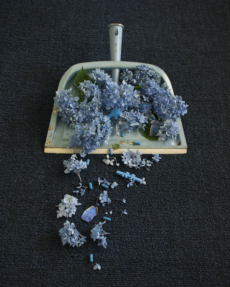 dustpan with blue flowers, butterfly wings and pills