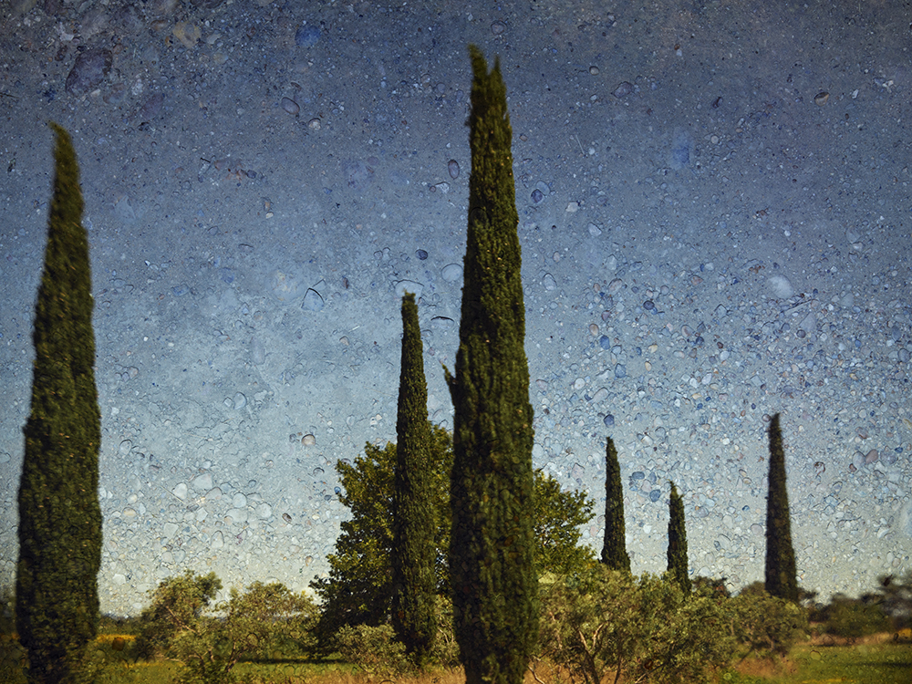 2022 - Tent Camera Image, Six Cypresses, Near Arles