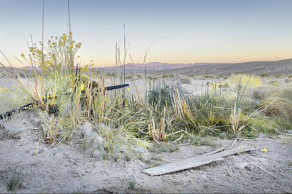 Benedict_Bremner_Pipe and Board in Dewatered Bryan Spring, Oasis Valley, Mojave Desert, Nevada