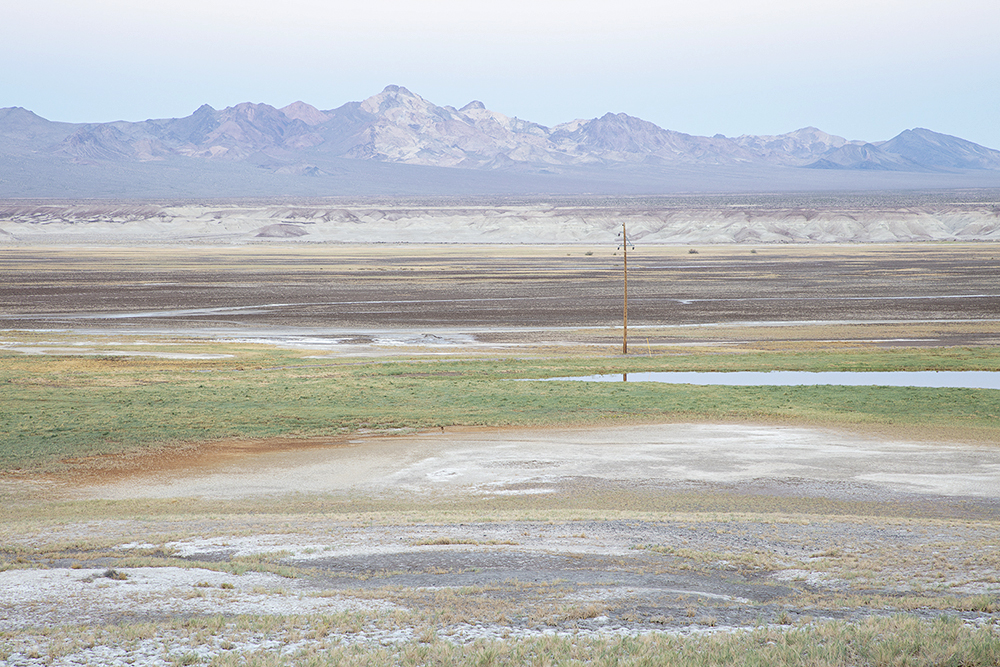 Bremner Benedict_Telephone Pole in Artesian Spring-fed in Wild & Scenic Amargosa River, Mojave Desert, CA