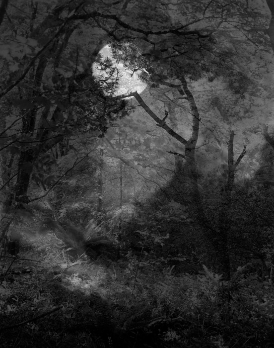 Editions Available Edition number 4 of 8. All works are hand printed in the darkroom onto silver gelatin fibre-based paper. The Sound of Space Breathing 2015 - 2021 How do we set about repairing our dysfunctional relationship with Nature and fully waken to all that we are offered by return? In the making of my work, I regularly crave isolation to reduce distraction and regain concentration levels, walking which plays a major role in my practice allows me the time to shed the everyday preoccupations that our increasingly frenetic world throws at us. The silence this can afford can be complimentary to Photography in many respects. Rather than seeking out the worlds beauty through travel  I take considerable time to study my immediate surroundings, the aim being to seek out the beautiful in the immediate as an aspect of our responsibility to the present. The recent lockdowns perhaps offered this potential to many who wished to become better acquainted with their own locale. We do not often take or have the time to just be, although we refer to ourselves as human beings, we are more often than not - engaged in the act of doing. In my work a certain subject matter becomes my muse until I have teased out how it makes me feel  it is about pursuing each image to its conclusion regardless of how long it takes. In spending a lengthy time in the same location - it is as though rather than looking at the scene you gradually become a part of it and rather than capturing what you might see on first sight this act of looking over time can evolve. Its about being lost in the thereness of Nature - being in a space and the space being within you. When out walking, light is rarely static  I wanted to show that and aimed to offer an immersive experience - a sensory connection through moments akin to breaking the skin to another world...