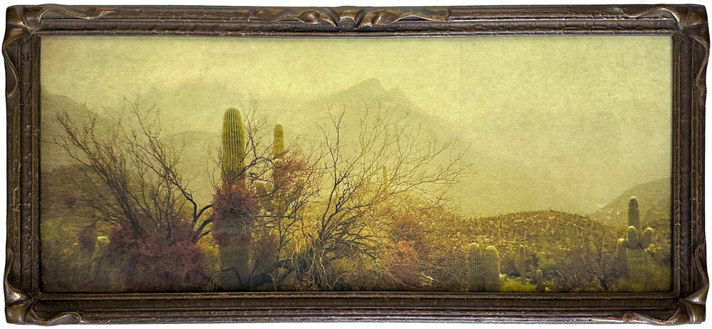© Wendi Schneider, Desert Mist, Tucson, AZ