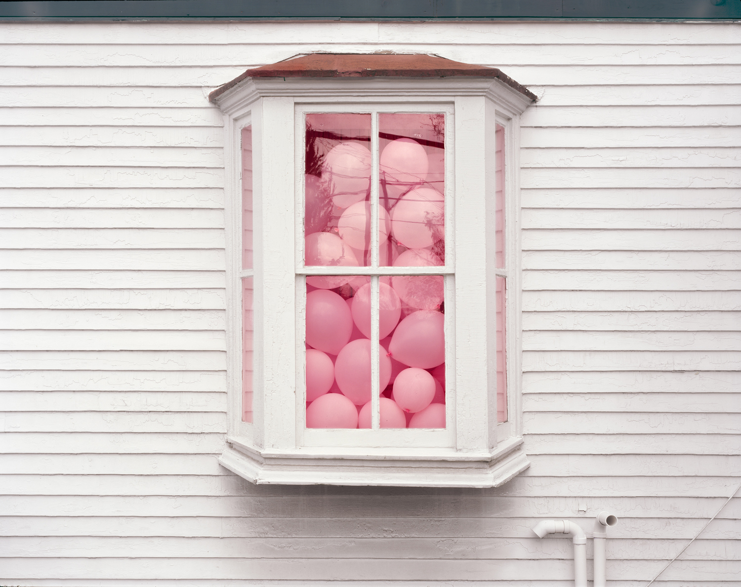 Dana Stirling, Pink Balloons, Doylestown, PA, 2021