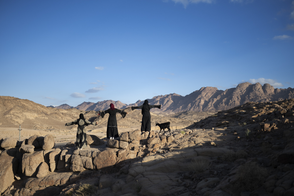 Every day, the women of AlTarfa village walk in a group of four from sunrise to sunset leading the herd of sheep and goats as they feed on the wild plants of the surrounding mountains. As the herd feeds, the women talk, share concerns, ask for advice and learn from one another. A sisterhood that is formed through mutual support and unity. From left to right: Nora, Nadia and Mariam stand on the edge of a mountain looking over their village AlTarfa, St. Catherine, South Sinai, Egypt. February 2021.