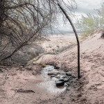 a__Artesian_Spring_Water_Flows_Unchecked_out_of_a_last_Remnant_of_Abandoned_Trading_Post_Unnamed_Spring_Colorado_Plateau_Dine_Nation_AZ