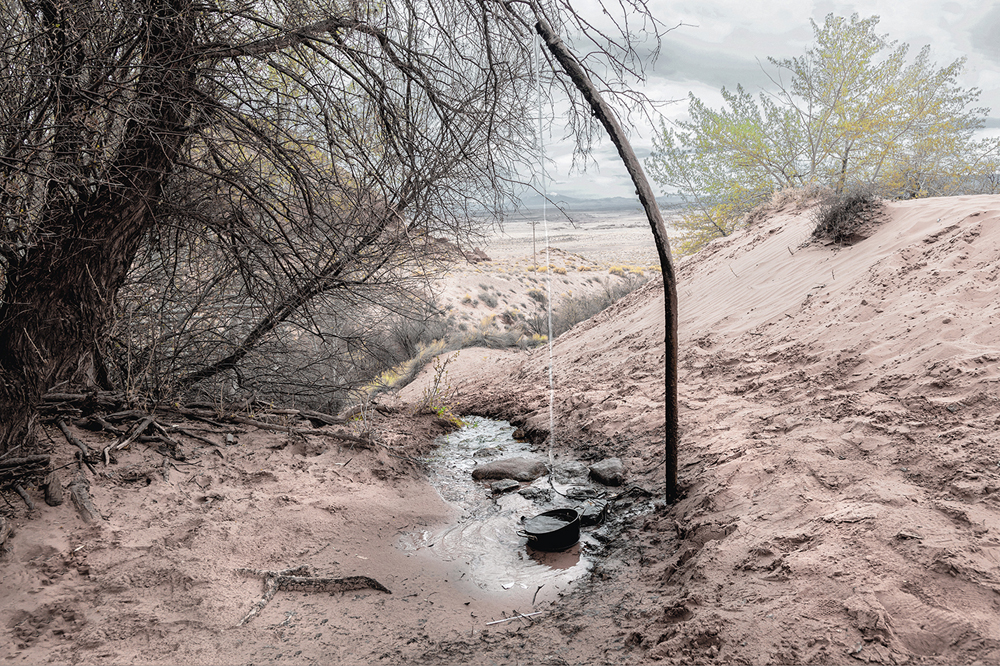 a__Artesian_Spring_Water_Flows_Unchecked_out_of_a_last_Remnant_of_Abandoned_Trading_Post_Unnamed_Spring_Colorado_Plateau_Dine_Nation_AZ