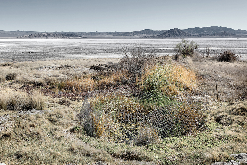 m__Old_Spanish_Trail_Oasis_and_Home_of_Endangered_Mohave_Tui_Chub_Fish_MC_Springs_Soda_Lake_Zzyxz_Mojave_Desert_CA
