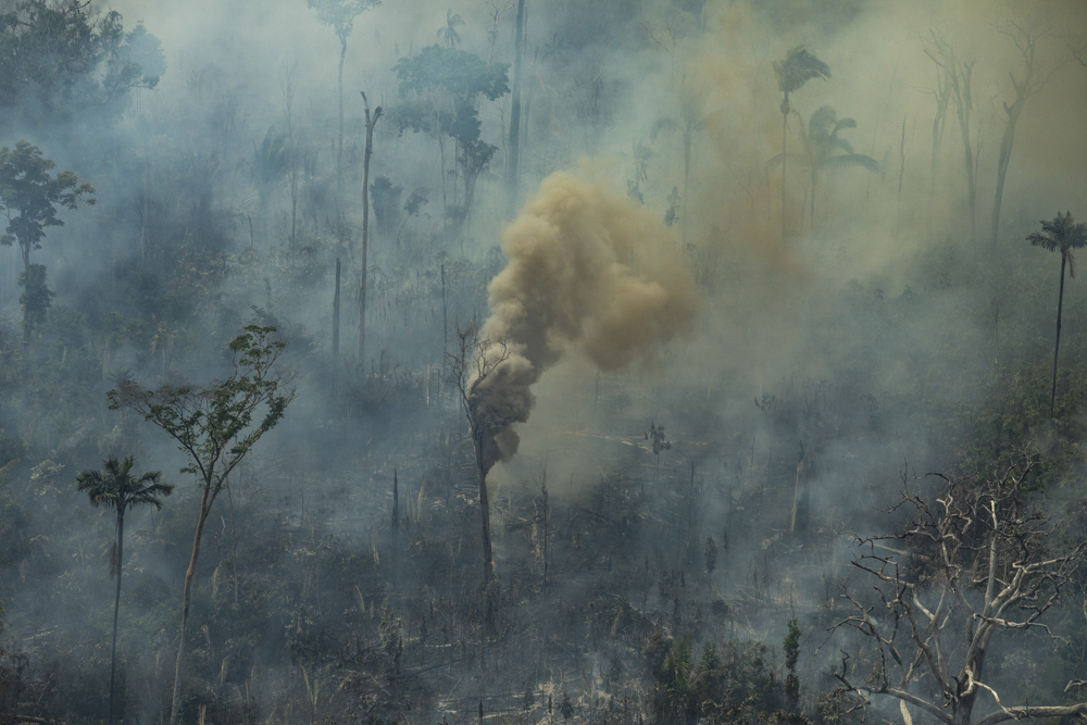 PORTO VELHO, RONDONIA, BRAZIL: Aerial view of burned areas in the Amazon rainforest. (Photo: Victor Moriyama / Greenpeace)