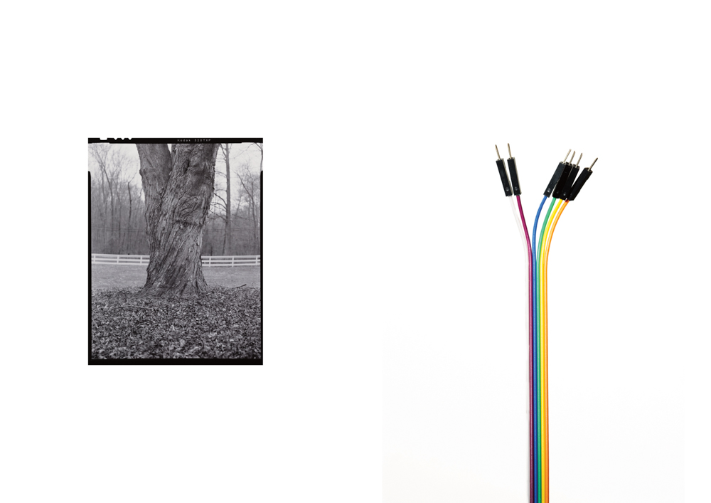 (Right) Close-up of the tree in Silent’s front yard. (Left) Cable from the basement in which Silent has set up her Virtual Reality station. The space is also used by her brother for electronic work and by her father as a wood workshop. These images speak to the duality of selves experienced by VR users. Virtual Reality has enabled Silent to explore multiple facets of her identity. She considers her avatar another version of herself. “I don't have any disconnect from it, actually; I maybe have more of a connection to my avatar than I do to my physical self. That was the epitome of the person I wanted to become. I want to be there now all the time so I can be this person, especially to constantly relive the memory of me realizing who I was. My ‘VR self’ influences my ‘real self’ and vice-versa. I am fully integrated at this point,’ she says. "A lot of people will use VR to escape their reality and live a totally different one. I would like to see people fuse the two together more. There are so many trans women that are closeted."