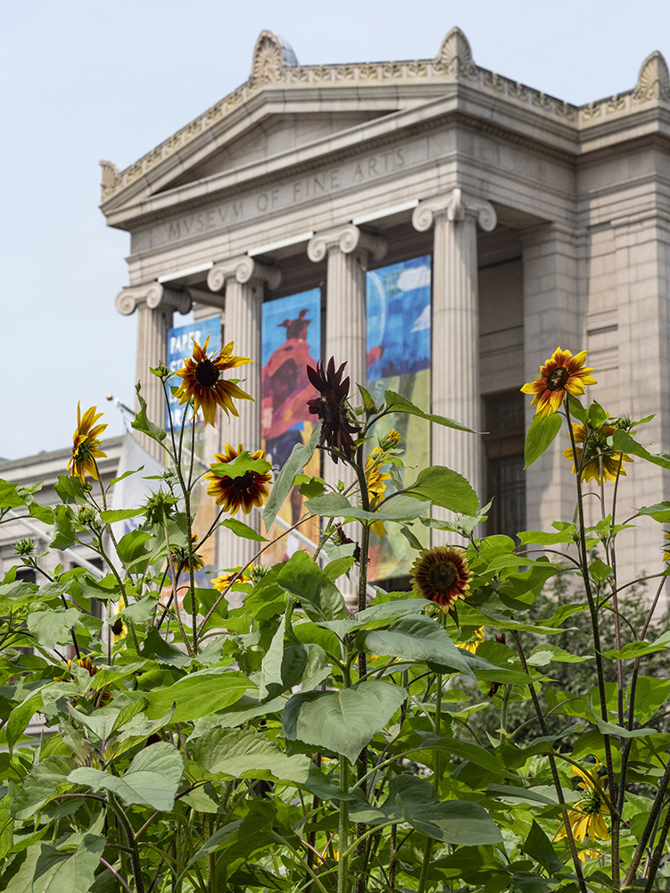 View of Ekua Holmes’ installation, Radiant Community, for the exhibition Garden for Boston at the Museum of Fine Arts, Boston. June 22 to October 12, 2021   * Bank of America Plaza on the Avenue of the Arts * Photograph © Museum of Fine Arts, Boston