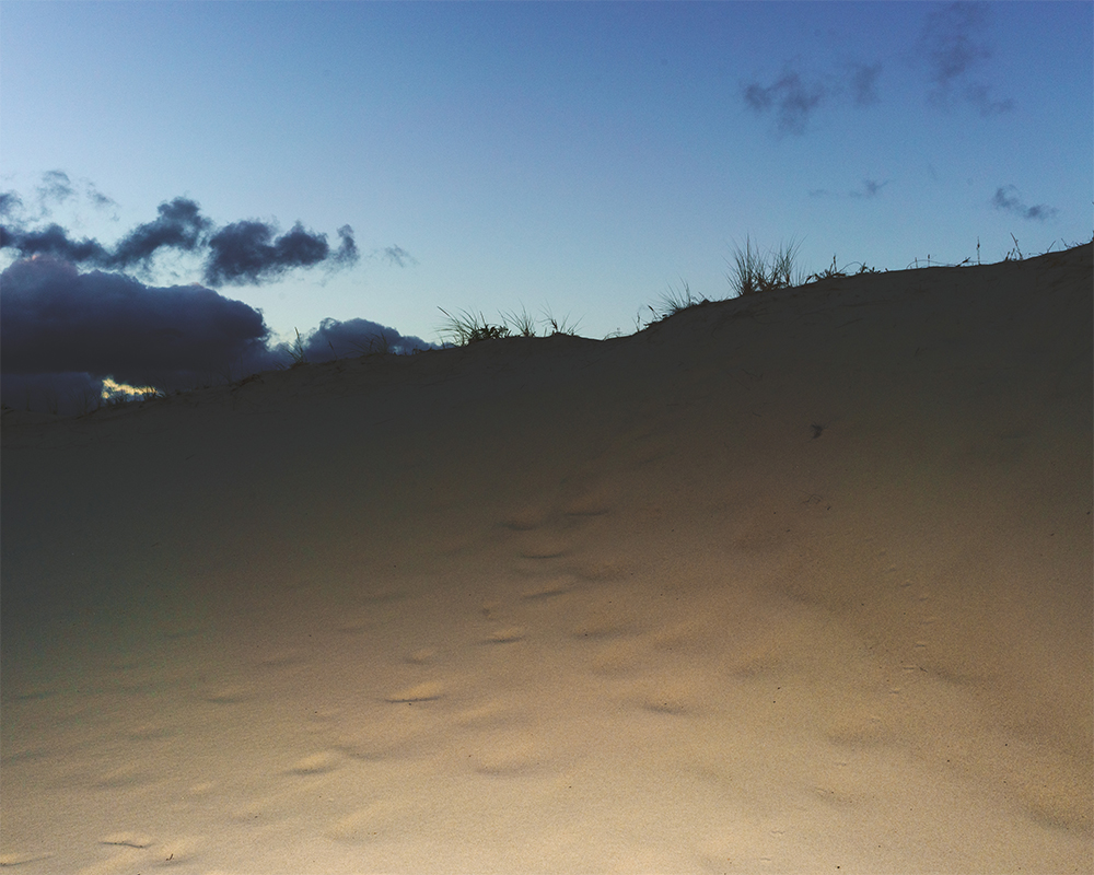 Dune #007