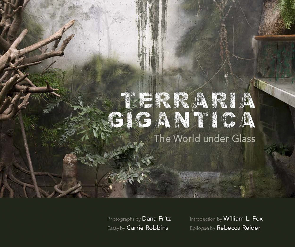 Fritz_Terraria Gigantica cover_11