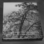 The Poetry of Being Book Cover