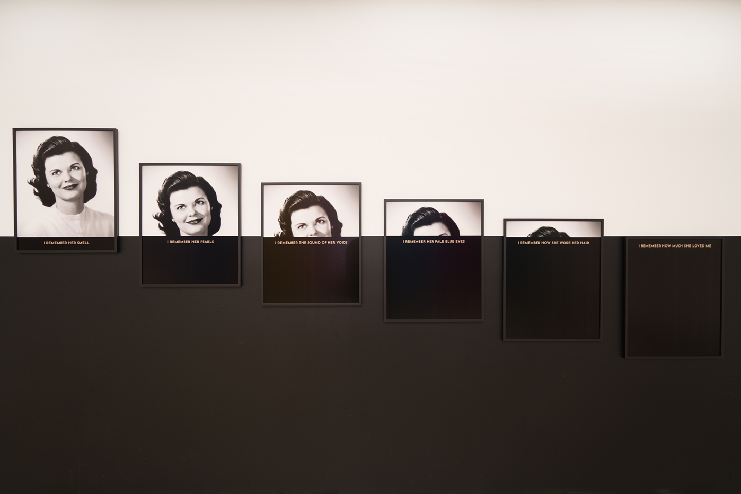 Aline Smithson - Brand Gallery-Install 5jpg