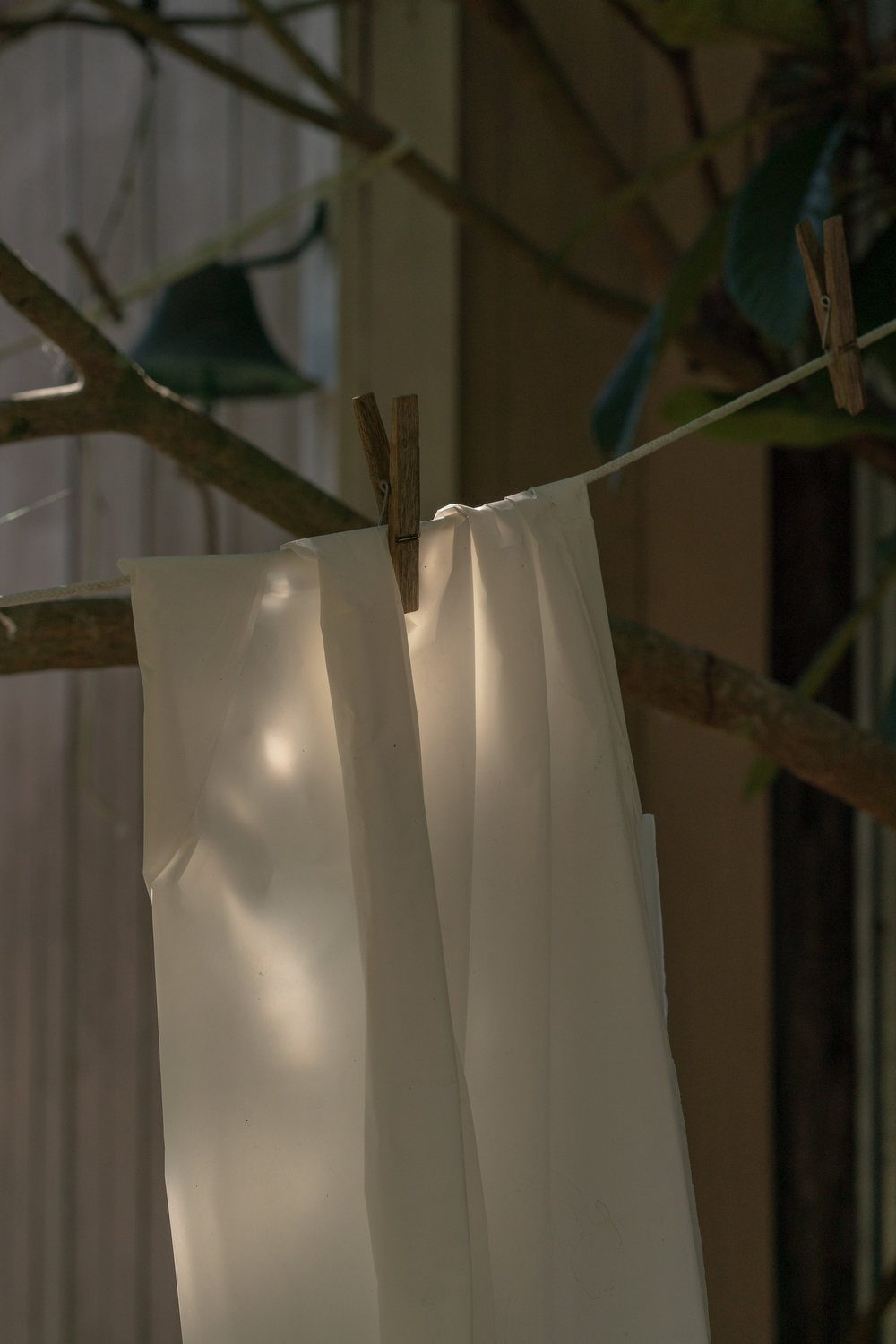 Fabric hanging on a clothesline before being dyed with indigo, on Wadmalaw Island, South Carolina.