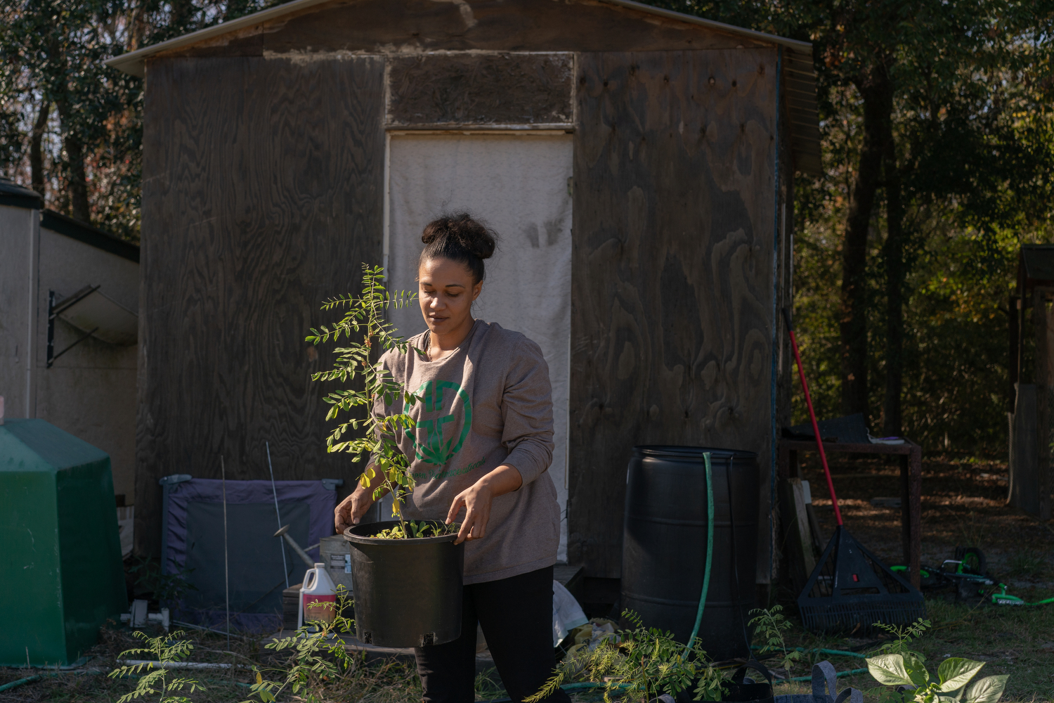Joy Mills carries an indigo plant after repotting it, in her backyard in Cross, South Carolina. Mills, an avid gardener, began growing indigo from seed in 2021, alongside other plants including hemp.