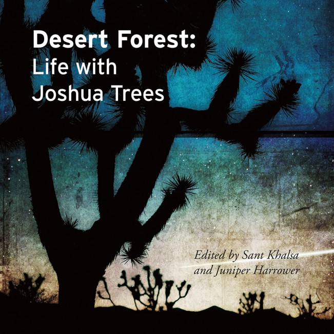 Desert Forest: Life with Joshua Trees