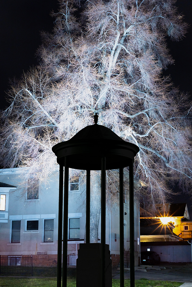 _The Cedar Tree Shrine_ - Bryant Swindle