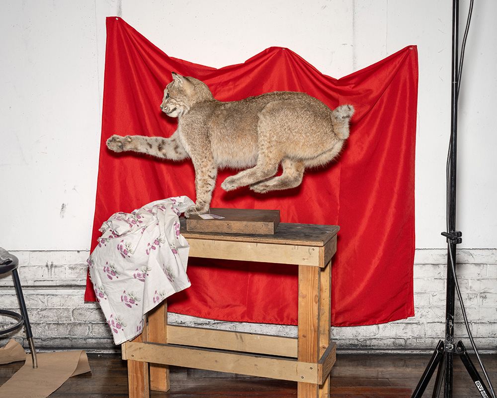 Alec Soth: Advice for Young Artists - LENSCRATCH