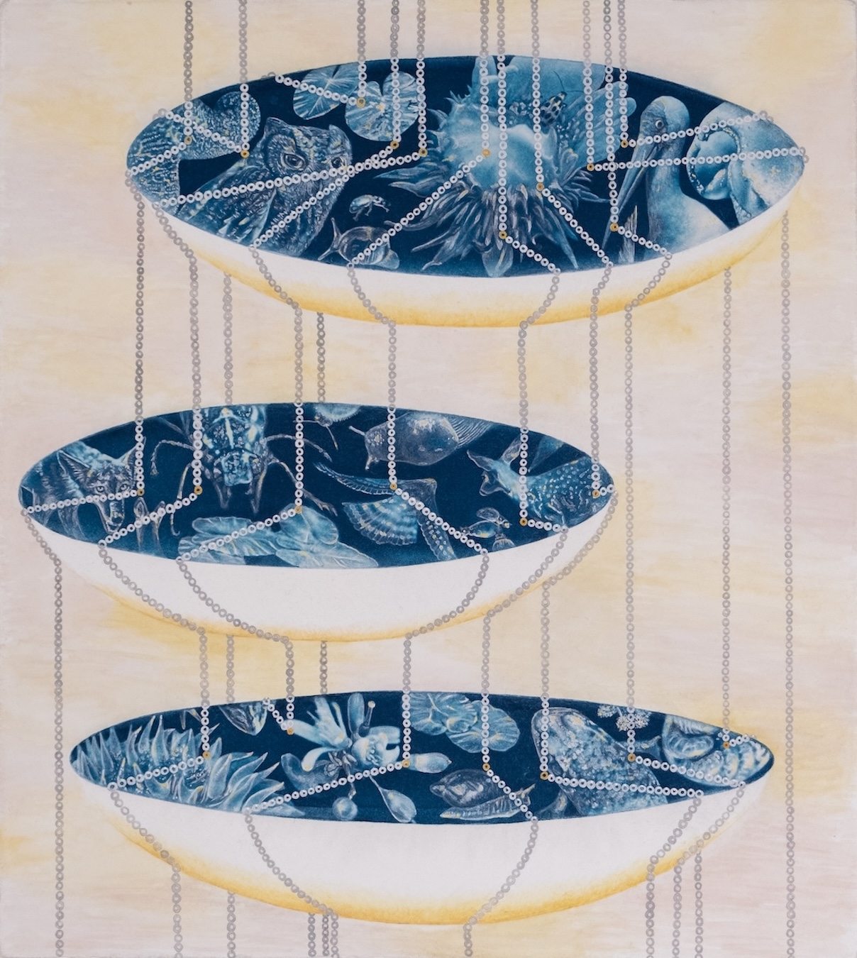 Cyanotype Week: Annalise Neil - LENSCRATCH