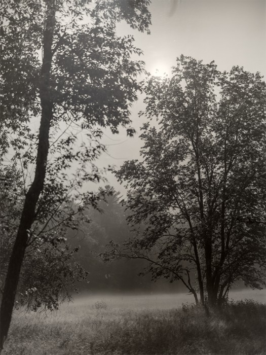 SummerExhibition_July2025_EthanBrossard_StrawberryMoon1 - Ethan Brossard