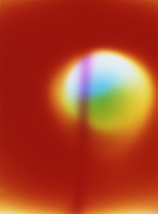 SummerExhibition_July2025_Lin Xue - Lin Xue