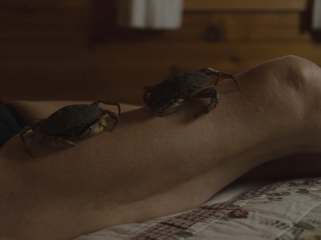 SummerExhibition_July2025_Maelle_Mercier_Nostalgic Tendencies - Maelle “Mazz” Rudner-Mercier