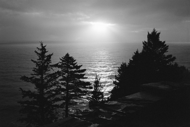 TRIX400-NIKONL35AF-FEB2025(2)