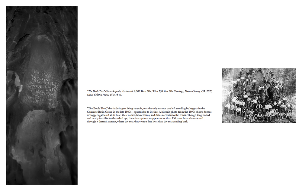 Overshoot #5 by Yogan Muller. Alex Turner's Research Document and Picture Catalogue.