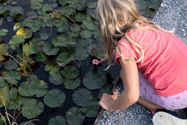 Alois Loidl_Mindfulness.net - Alois Loidl