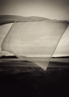 Confluence_Lenscratch