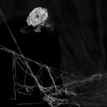 DeLeon_Undine_Multivalent_1