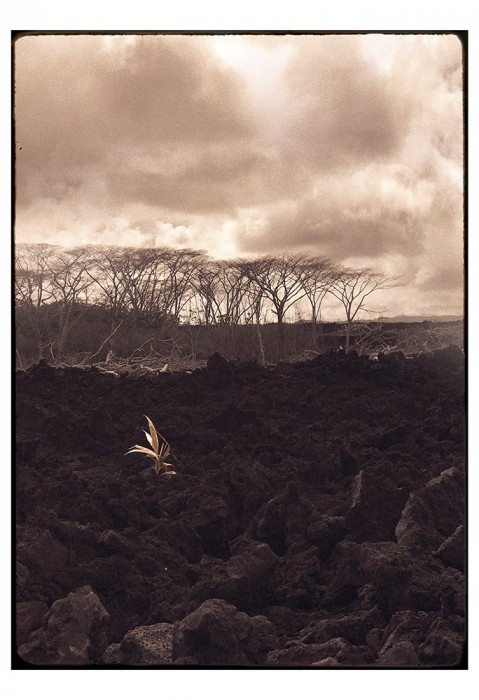 DianaNicholetteJeon_AfterPele - Diana Nicholette Jeon Photographic Art