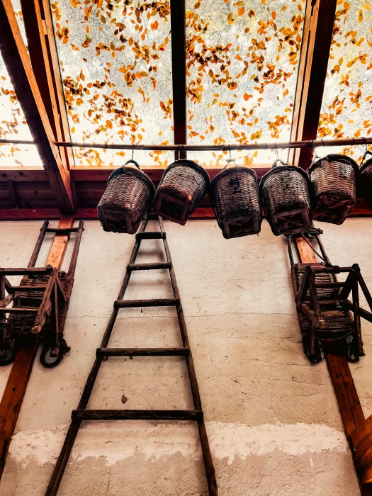 Farese_Fodor's Japan_20240407_Japan.iphone_402