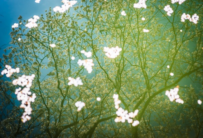 Farese_Fodor's Japan_20240410_Tokyo_1350