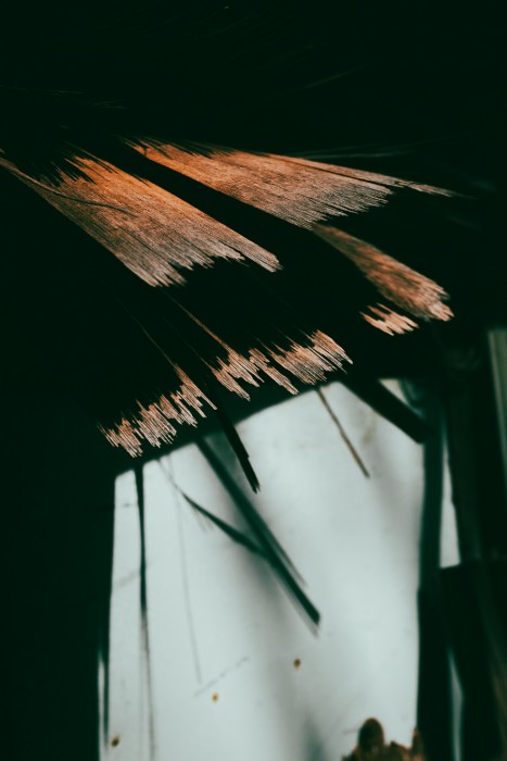 Farese_Fodor's Japan_20240414_Japan_157