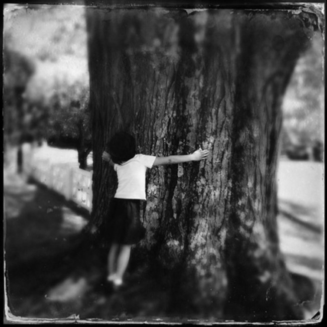 Gibbs-Shawna-Honeyshucks-SummerHope2025 - Shawna Gibbs