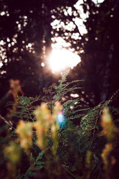 IMG_4641 - Дарья Белякова