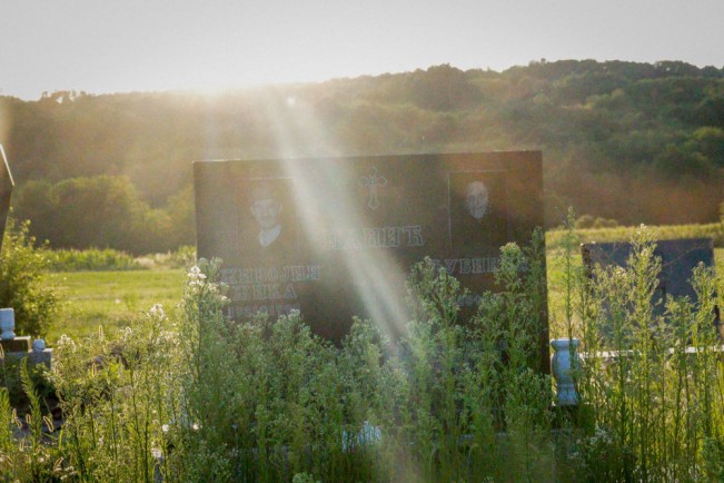 Iskra Bella Miloradović, New Growth, 2025 - Iskra Bella Miloradovic