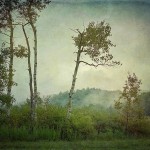 KKlinedinst_InTheEarlyMorning-1.jpg copy