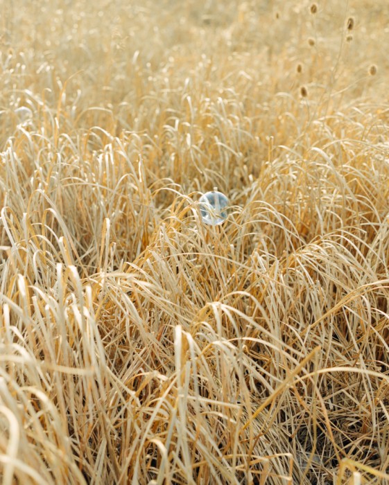 LensCulture - A Summer of Hope - Jamil Fatti - Jamil Fatti