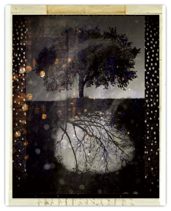 Linda_Plaisted_Seeds of Hope - Linda Plaisted