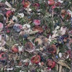 Conceptual photography project by Tanya Marcuse, imagining the Garden of Eden after the Fall. Constructed still-life with rotting apples and other decaying fruit and flowers with allover composition. Large-scale color photograph. Influenced by the Garden of Earthly Delights by Hieronymus Bosch and Abstract Expressionism.