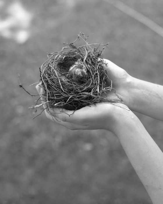 Maxim_Voloshin - Maxim Voloshin