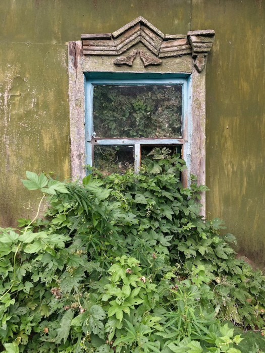 NataliiaMaiboroda - Natalia Maiboroda