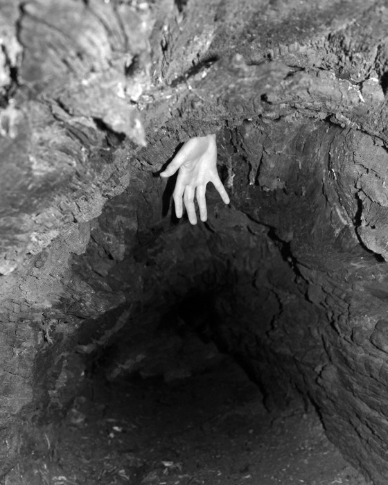 OliverRaschka - Oliver Raschka