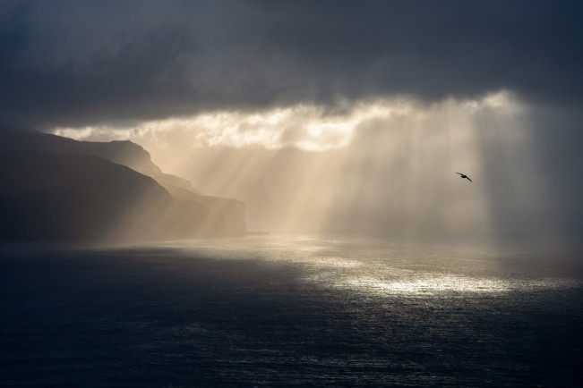 Sloan_Wings Over Light - Erica Sloan