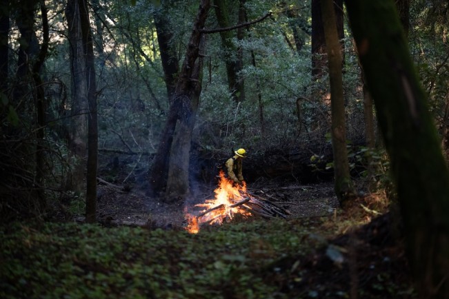 Stephanie_Penn - Stephanie Penn