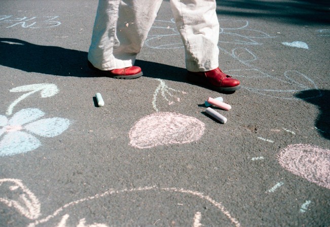 Summer_Shepherd - Sheps