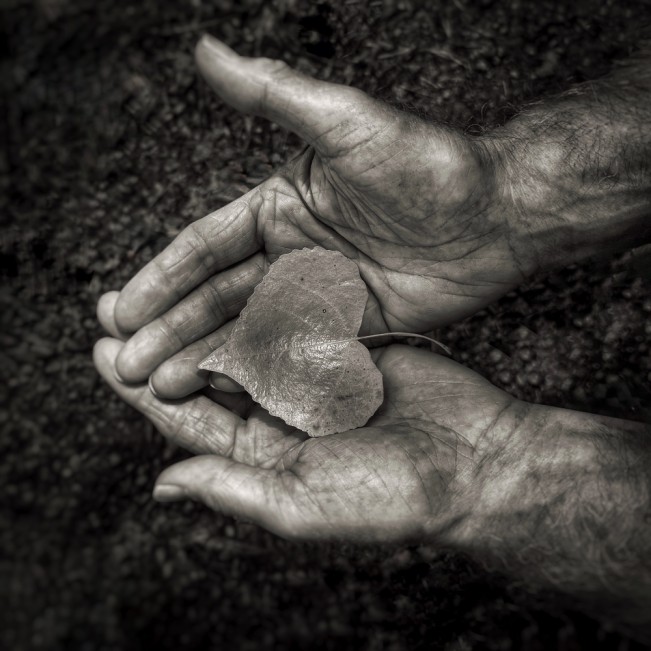 The Gift_Donna Dangott_2025 - Donna Dangott